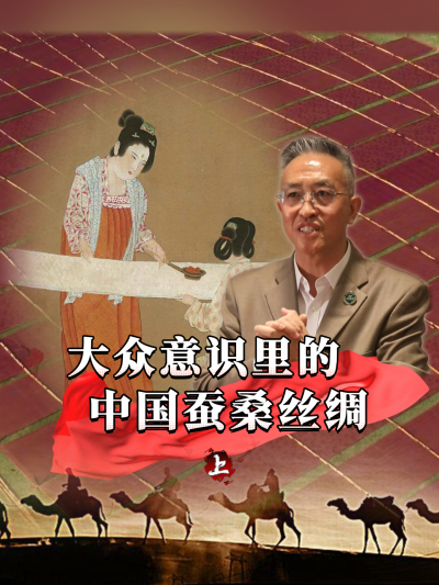 蚕桑丝绸承载着千年历史，是中华文化的靓丽名片，那么它在大众的意识里是什么印象呢？今天我们来讲第一部分#丰农控股 #蚕桑丝绸 #丝绸之路