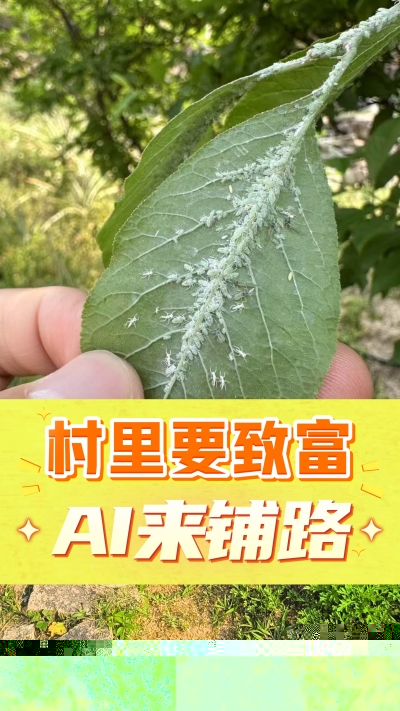 没有套路的农村AI工具，就是识农小程序