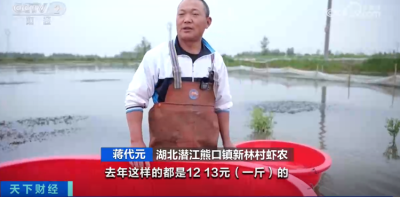小龙虾越卖越便宜，这些养殖户还在赚钱