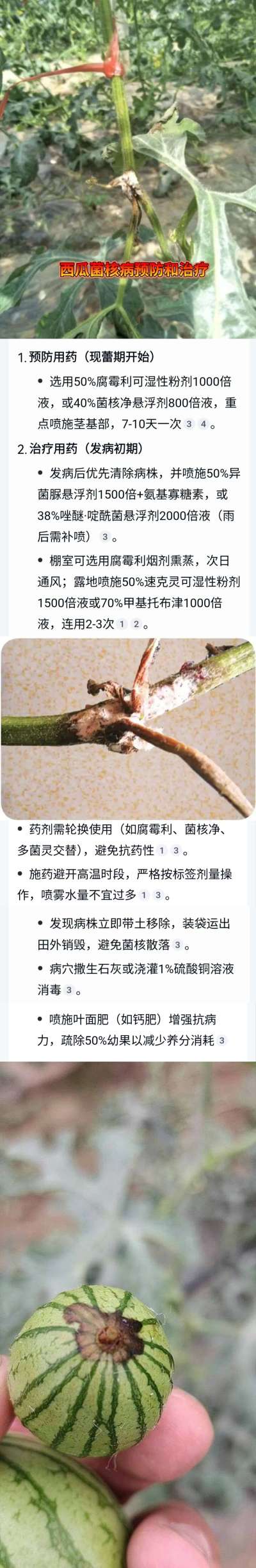 http://st-static1.ndygw.cn/forums/2025/04/23/17453936646134.jpeg