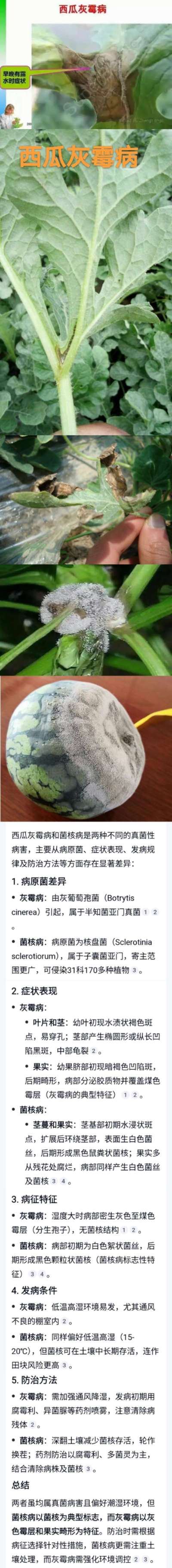 http://st-static1.ndygw.cn/forums/2025/04/23/17453975972028.jpeg