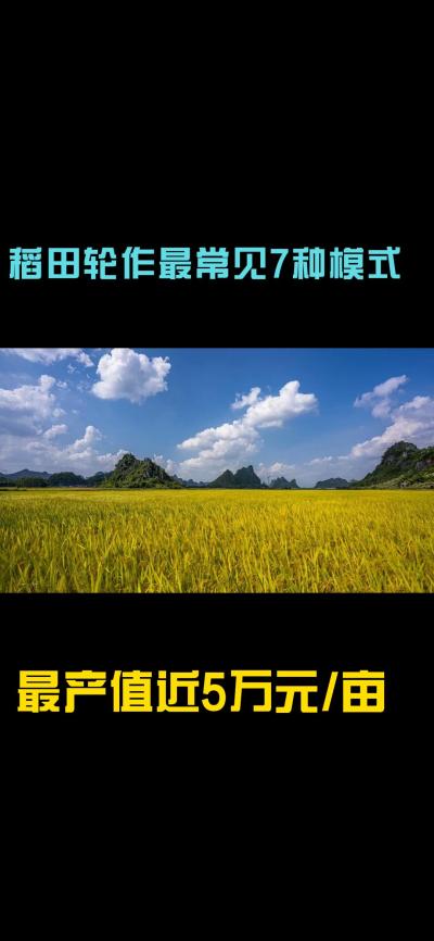 &ldquo;一田多收，藏着农业增收的密码！今天带您1分钟看懂水稻轮作的致富密码