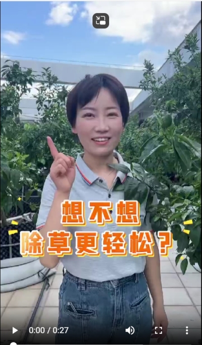 打了除草剂，死草慢，草死了两天又活了，怎么办？我教你一招