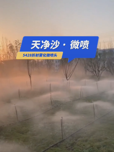 【天净沙&middot;微喷】枯藤老树昏鸦，草地仙境人家，地插微喷雾化，夕阳西下，灌溉，你问，我答！#5428折射雾化微喷头 #微喷 #华维集团