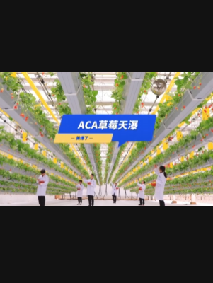 自由升降、追光生长。#ACA草莓天瀑，美爆了！向天再借500平！#ACA可控农业 #华维集团 #数字农业