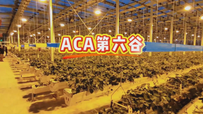 #ACA第六谷 模式，打造#ACA作物工厂，规划建园到栽培种植水肥管理一站式服务！#可控农业 #华维集团