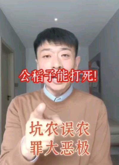 公稻子可以打死？纯属误农！