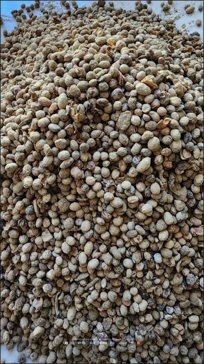 有机肥菌肥生产厂家，二十多年老厂，年销售量三十万吨，资质齐全，支持定制，罐装业务，有机肥、菌肥、微生物肥料、微生物菌剂、复合微生物肥料、水溶肥等，欢迎来电咨询19832013321