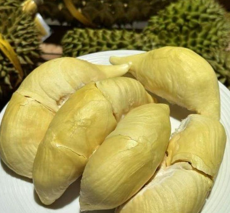 泰国甲仑榴莲
浓香满口，丝滑如奶油
甜甜糯糯，榴莲味浓郁
谁让它是泰国榴莲界的元