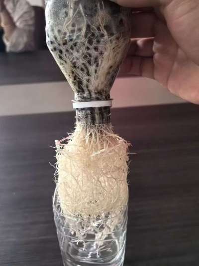 年销售量三十万吨的有机肥生产厂家，全国网点发货，资质齐全，正品保障！有机肥、生物菌肥、微生物肥料等