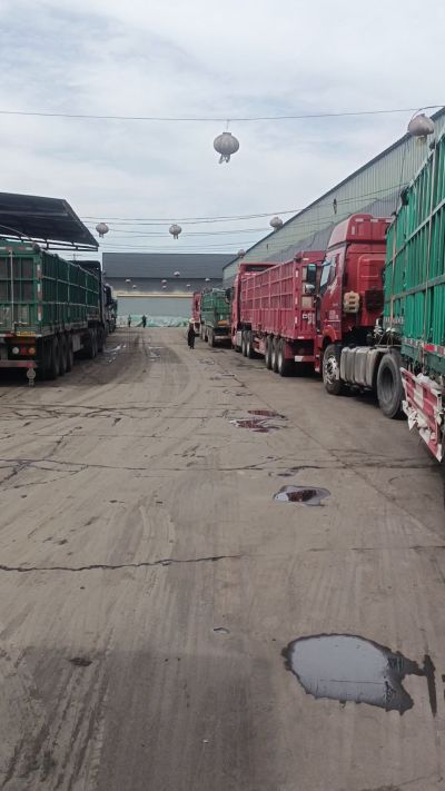 发酵 鸡粪，发酵羊粪 有机肥 微生物肥 微生物菌肥 微生物菌剂 每天出货量1500多吨，都是老客户介绍新微生物菌肥，山西马上出发，近期用肥的老板提前联系，马上到国庆节＋中秋节 一大部分物流都会放假，到