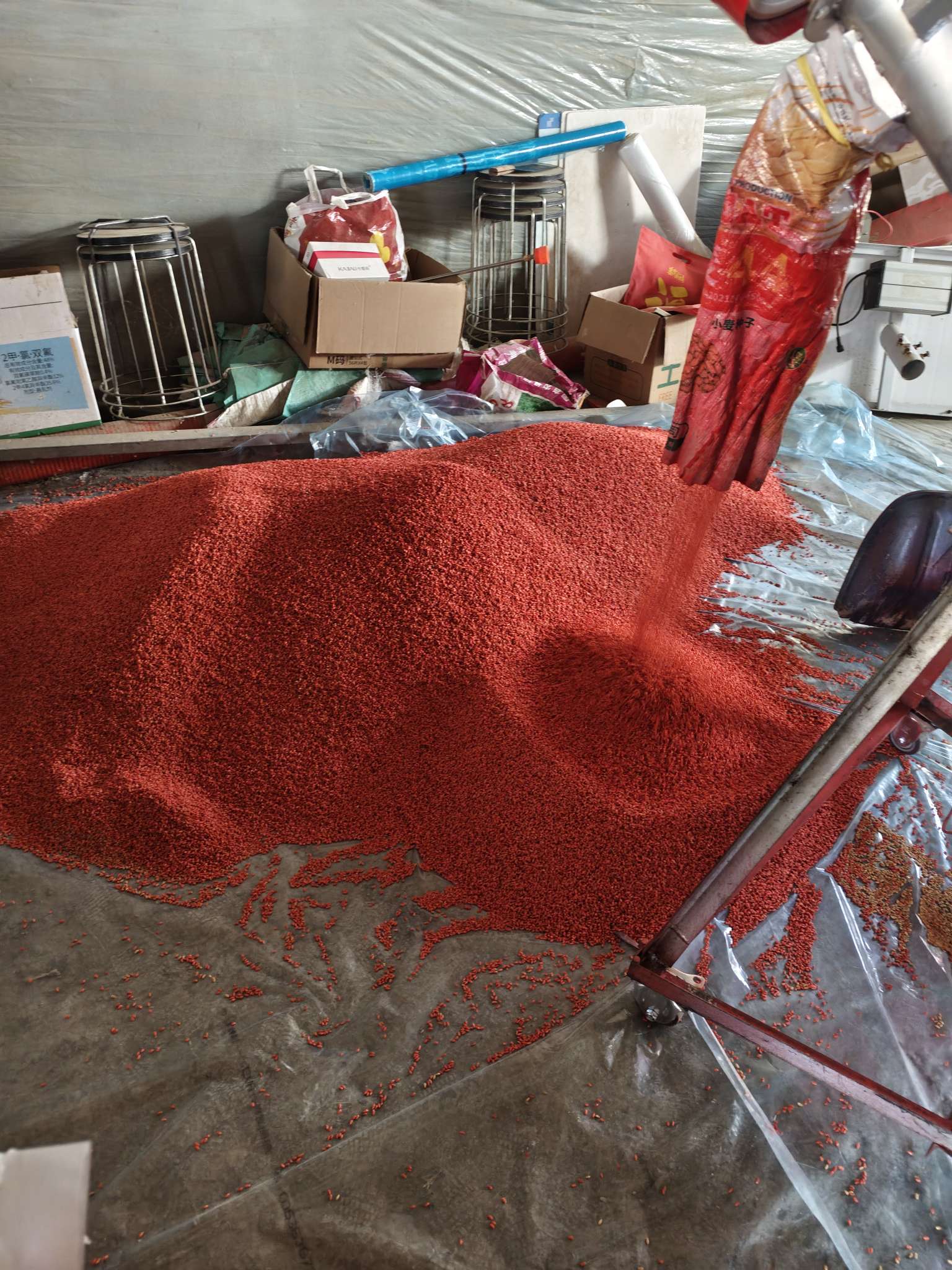 四冠包衣拌种，防虫防病壮苗增产。