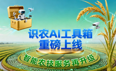 识农AI推出全场景&ldquo;农业AI百宝箱&rdquo;：病害、虫害、AI称重、AI数果、AI兑水一网打尽！农业人的终极