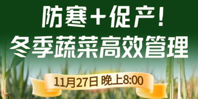 《细说农技》专家张宝林教冬季蔬菜防寒 + 促产高效管理，27 日晚 8 点！
