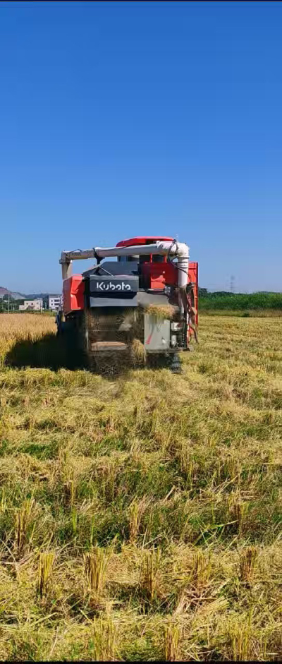 惠州基地，无人拖拉机收水稻了。
