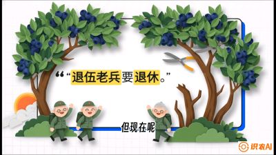 第7节：修剪决定产量（下）&mdash;&mdash;结果树的更新与疏果，课程：《蓝莓&ldquo;高产&rdquo;实战课：从选苗到丰收的10个关键点》