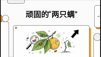 第二节：顽固&ldquo;两只满&rdquo;&mdash;&mdash;红蜘蛛与锈壁虱,课程：《柑橘十大病虫害：从入门到精通》