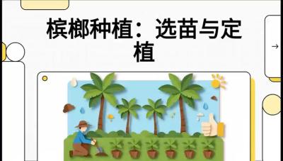 第01节：选苗与定植&mdash;&mdash;&ldquo;苗好一半收，底肥定千秋&rdquo;课程：《槟榔种植：从不懂到精通的10堂必修课》