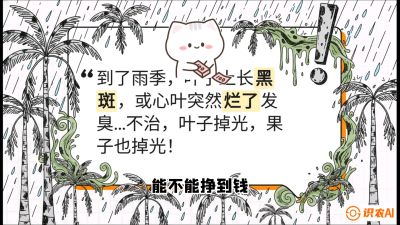 第05节：常见真菌病害&mdash;&mdash;&ldquo;炭疽与烂心，早防值千金&rdquo;《槟榔种植：从不懂到精通的10堂必修课》