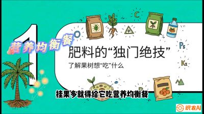 第07节：科学施肥&mdash;&mdash;&ldquo;氮磷钾配好，树壮果不倒