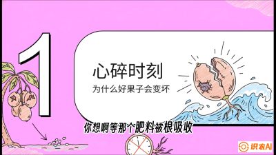 第08节：微量元素与保果&mdash;&mdash;&ldquo;补硼又补钙，果子不裂坏&rdquo;《槟榔种植：从不懂到精通的10堂必修课》