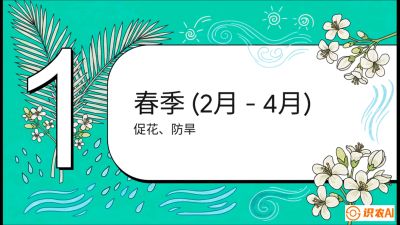 第10节：周年农事日历&mdash;&mdash;&ldquo;跟着节气走，丰产在手头&rdquo;《槟榔种植：从不懂到精通的10堂必修课》