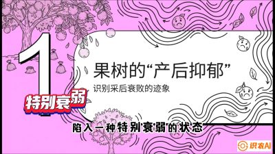 第2节：【冬肥策略】采后&ldquo;月子肥&rdquo;：大小年的精准干预术，课程：《柑橘底肥&ldquo;翻身账&rdquo;：从改土到高产的实战全书》