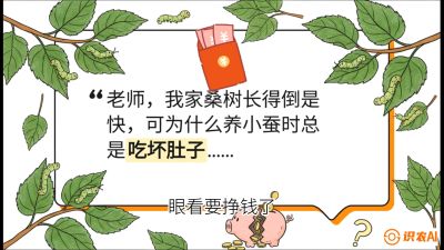 第01节：不仅仅是树&mdash;&mdash;顶级品种选配策略，课程：《桑海淘金：桑树高产与蚕桑安全进阶实战课》