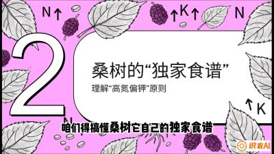 第04节：地下核动力&mdash;&mdash;桑树专用水肥一体化配方，课程：《桑海淘金：桑树高产与蚕桑安全进阶实战课》