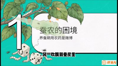 第06节：虫口夺叶（上）&mdash;&mdash;物理与生物防控绝技，课程《桑海淘金：桑树高产与蚕桑安全进阶实战课》