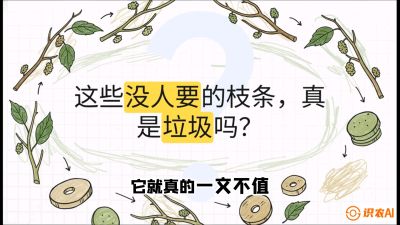 第12节：变废为宝&mdash;&mdash;循环农业实操，课程：《桑海淘金：桑树高产与蚕桑安全进阶实战课》