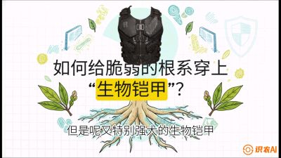 第三节：国产榴莲突围战：根系堡垒，菌根微生态构建与黄金定植窗口，课程：《国产榴莲突围战：从泰国经验到中国实操的8堂必修课（高阶实战版）》