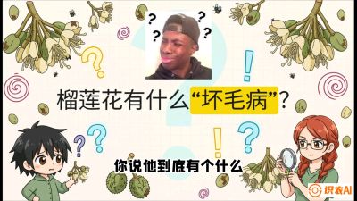 第六节：榴莲的午夜战事，夜间授粉战与花果期避雨策略，课程：《国产榴莲突围战：从泰国经验到中国实操的8堂必修课（高阶实战版）》