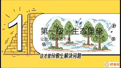 第七节：榴莲防御战：病虫害三级立体防控，疫霉菌与虫害的立体封锁线，课程：《国产榴莲突围战：从泰国经验到中国实操的8堂必修课（高阶实战版）》