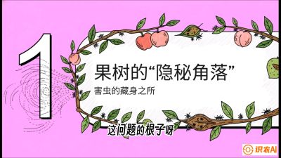 第3节：无人机专治&ldquo;打不透&rdquo;&mdash;&mdash;果树与高杆作物的穿透技巧，课程：《无人机植保搞钱必修课：从&ldquo;瞎飞&rdquo;到&ldquo;懂行&rdquo;的6步进阶》