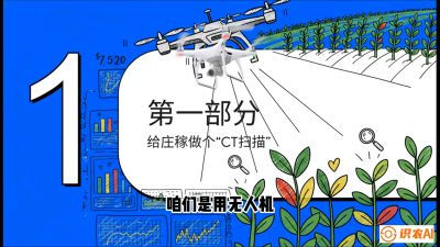 第5节：无人机也能&ldquo;看病抓药&rdquo;&mdash;&mdash;处方图与变量施肥入门，课程：《无人机植保搞钱必修课：从&ldquo;瞎飞&rdquo;到&ldquo;懂行&rdquo;的6步进阶》