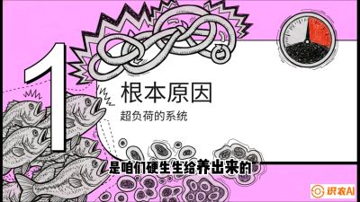 第三节：【爆款单品&middot;加州鲈】从&ldquo;玻璃鱼&rdquo;到&ldquo;摇钱树&rdquo;的通关秘籍，课程：《黄金鳞甲：2025中国淡水鱼高效养殖实战营》