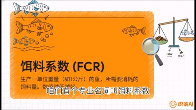 第五节：【高端单品&middot;鳜鱼】&ldquo;饲料鳜&rdquo;技术：打破吃活饵的高成本魔咒，课程：《黄金鳞甲：2025中国淡水鱼高效养殖实战营》