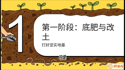 第6节（统筹篇）： 省钱又增产的&ldquo;黄金配比&rdquo;&mdash;&mdash;不同作物全年的养土实操方案，课程：《揭秘土壤的秘密：让土地帮你赚钱》#识农AI