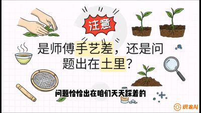 第02节（土肥篇）：告别&ldquo;苦涩水味&rdquo;：揭秘&ldquo;碳氮比&rdquo;调控术，种出自带兰花香的好茶底，课程：《茶金时代：从&ldquo;看天吃饭&rdquo;到&ldquo;精准控局&rdquo;的茶叶高产提质实战课》