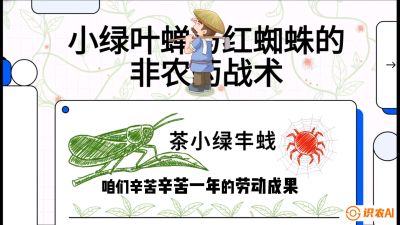 第03节（虫害篇）：看不见的吸血鬼：小绿叶蝉与红蜘蛛的&ldquo;非农药&rdquo;团灭战术（抗性治理），课程：《茶金时代：从&ldquo;看天吃饭&rdquo;到&ldquo;精准控局&rdquo;的茶叶高产提质实战课》