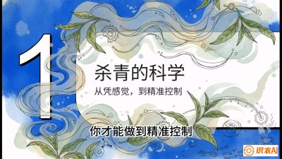 第05节（加工篇）：决胜2分钟：用&ldquo;数字温控&rdquo;破解杀青不匀，复刻大师级手工口感，课程：《茶金时代：从&ldquo;看天吃饭&rdquo;到&ldquo;精准控局&rdquo;的茶叶高产提质实战课》