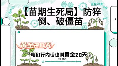 第2节：【苗期生死局】防猝倒、破僵苗，决定后期产量的&ldquo;黄金20天&rdquo;，课程：《辣椒种植实战特训营，从工业辣椒到精品小米辣，教你如何把&ldquo;草&rdquo;种成&ldquo;金&rdquo;》