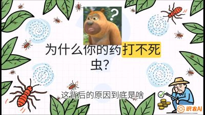 第4节：【虫害歼灭战】打不死的蓟马、隐形的茶黄螨：抗性时代的&ldquo;混配绝杀&rdquo;，课程：《辣椒种植实战特训营，从工业辣椒到精品小米辣，教你如何把&ldquo;草&rdquo;种成&ldquo;金&rdquo;》