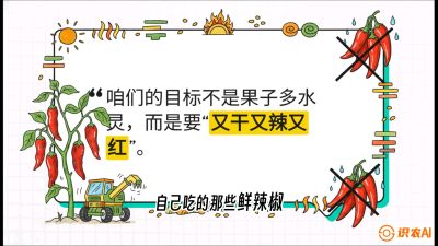 第7节：【工业辣椒专场】追求极致辣度！干物质提升与机械化采收的&ldquo;催红秘籍&rdquo;，课程：《辣椒种植实战特训营，从工业辣椒到精品小米辣，教你如何把&ldquo;草&rdquo;种成&ldquo;金&rdquo;》