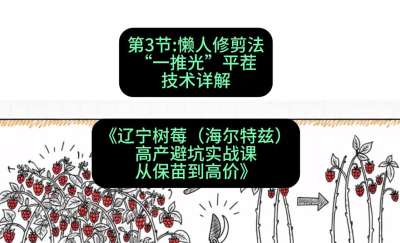 第三节： 懒人修剪法&mdash;&mdash;&ldquo;一推光&rdquo;平茬技术详解，课程：《辽宁树莓（海尔特兹）高产避坑实战课：从保苗到高价》