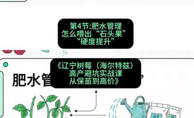 第四节： 肥水管理&mdash;&mdash;怎么喂出&ldquo;石头果&rdquo;（硬度提升），课程：《辽宁树莓（海尔特兹）高产避坑实战课：从保苗到高价》