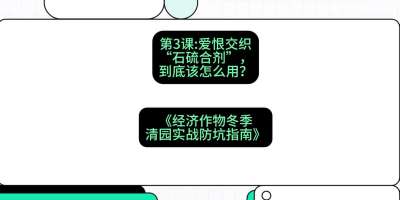 第3节：【核武药剂】爱恨交织的&ldquo;石硫合剂&rdquo;，到底该怎么用？，课程：《经济作物冬季清园&middot;实战防坑指南》#识农AI