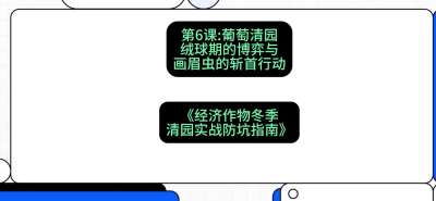 第6节：【葡萄清园】绒球期的博弈与画眉虫的&ldquo;斩首行动&rdquo;，课程：《经济作物冬季清园&middot;实战防坑指南》#识农AI