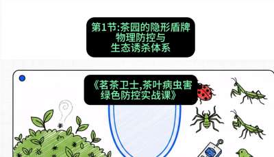 第01节：茶园的&ldquo;隐形盾牌&rdquo;&mdash;&mdash;物理防控与生态诱杀体系，课程：《茗茶卫士&mdash;&mdash;茶叶病虫害绿色防控实战课》#识农AI